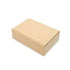 160x110x50mm Maxibrief-Karton